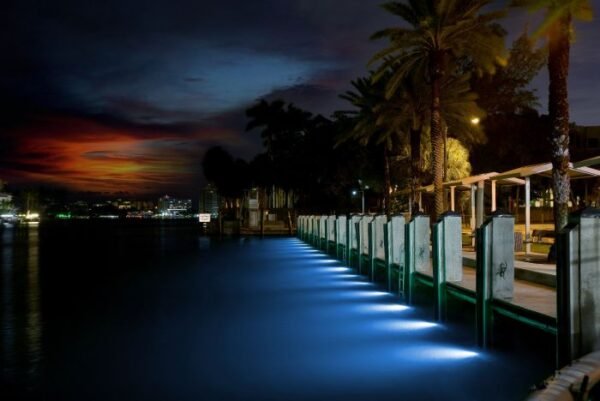 Mantis Dock Lighting Kit Part No: 101525