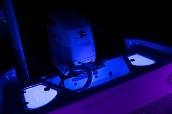 dsc8733 Lutra Livewell/Utility Light