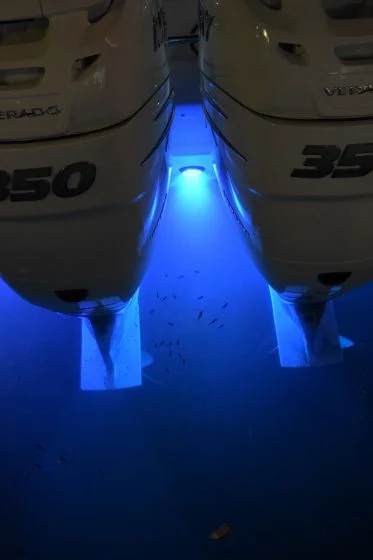 SeaBlaze Mini LED Underwater Light Blue SKU 101246