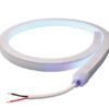 Moray Flex Light 3' - Spectrum SKU 101640
