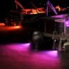 pontoon_boats_lights_purple Zambezi Mini SM Underwater Light Spectrum SKU 101458