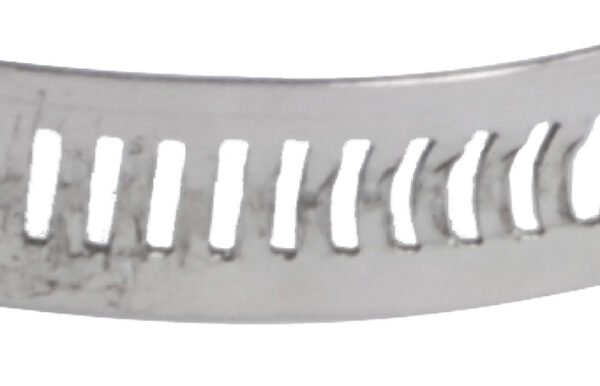 AISI316 stainless steel hose clamp