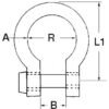 Stainless Bow shackles
