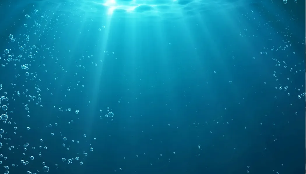 Boat Underwater Light Supplier in Dubai