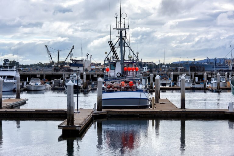 Marine Towing Services